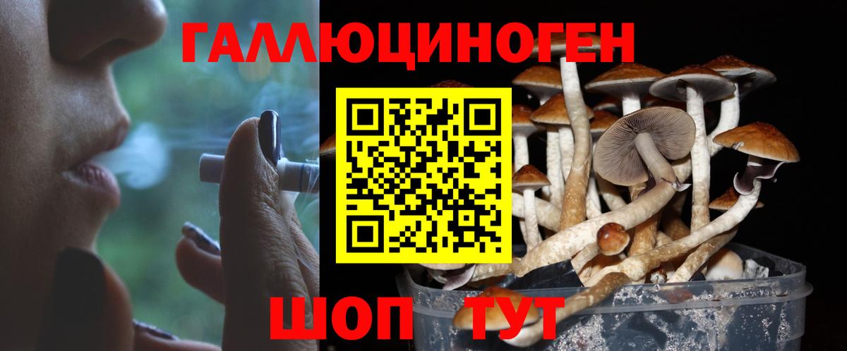 Галлюциногенные грибы GOLDEN TEACHER  Псилоцибиновые грибы Psilocybe  Хасавюрт  Вход с VPN 